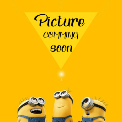 RR BRAKE PAD BMW X1 F48 MEYLE 0252533116