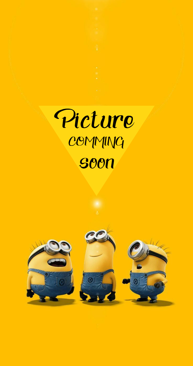 AIR FILTER GRAND PTL ZIP ZA4119